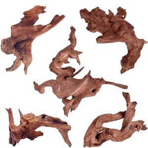 lot 14316 image: Jorewood Natural Small Aquarium Driftwood for Fish Tanks and Reptile Terrariums � 100percent Safe Fish Tank Decorations, Unique Twisted Branches 5-Piece 4-8 Inch Low Tannin, Easy to Sink