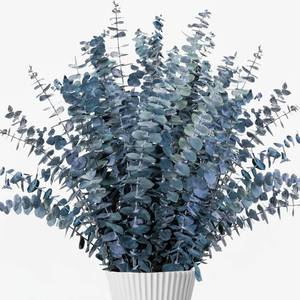 lot 14370 image: 26Pcs Real Dried Eucalyptus Stems, 17 Blue-Green Preserved Eucalyptus Stems for Vase, Home Decor, Farmhouse, Dried Flowers Table Centerpiece Arrangementin