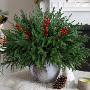 lot 1470 image: florisso Artificial Faux Christmas Norfolk Pine Stems Branches for Vases,12 Bundles Fake Evergreen Real Touch Greenery Stem with 3 PCS Red Berry Branches for Xmas Holiday Winter Table Indoor Decor