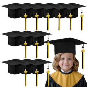 lot 3991 image: Berlune 12 Pcs Child Size 2026 Preschool Grad Caps Bulk Kindergarten Graduation Cap Grad Hats with Metal 2026 Tassel for Preschool (Black and Gold Tassel)