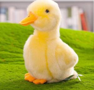 lot 4202 image: 8 Inch Small Yellow Duck Plush Toys Duck Stuffed Toys (Yellow)