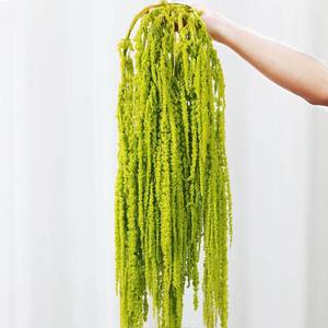 lot 6195 image: A7Pcs Dried Amaranthus Hanging Flowers, 23 Neon Green Preserved Natural Wisteria for Wedding Arch, Fall Thanksgiving, Table Centerpiece, Wall Hanging Lover Tears, Floral Arrangement, Farmhouse Decor