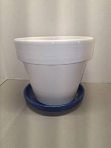 lot 99 image: White Ceramic Plant Pot with Blue Saucer