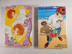 lot 175 image: Korean Manhwa Sweet & Sensitive Volume 2 and Quantum Mistake Volume 1