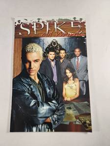 lot 241 image: Spike Old Wounds IDW Paperback