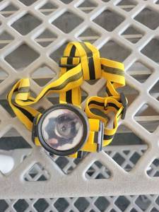 lot 21032 image: LED Headlamp with YellowBlack Adjustable Strap
