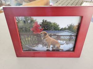 lot 21131 image: Red Wood Picture Frame with Dog Photo