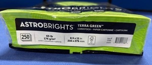 lot 55 image: Astrobrights Terra Green Cardstock Paper 250 Sheets - Retail $30