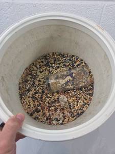 lot 274 image: Plastic Bucket with bird seed