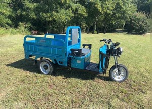 lot 114 image: Unused 2026 IRET13 Electric Tuk Tuk - Color options - Black, Dark Green, Gray, Blue
