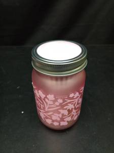 lot 1144 image: Modern Sprout Lavender Grow Kit in Mason Jar - Retail $13