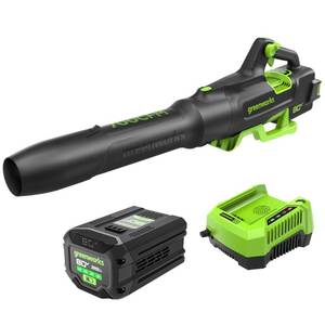 lot 1011 image: Greenworks 80V (700 CFM  170 MPH) Brushless Cordless Leaf Blower, Commercial-Grade Power, 40-Min Rapid Charger for Wet Leaves, Heavy Debris, Gravel and Driveway Snow, Includes 2.5Ah Battery & Charger - Retail $201