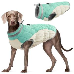 lot 1048 image: FUAMEY Dog Coat for Large Dogs,Waterproof Dog Winter Jacket with Harness Built in Puppy Cold Weather Coats Reflective Pet Vest with Zipper Warm Fleece Dogs Snowsuit Windproof Mint Green XL - Retail $67