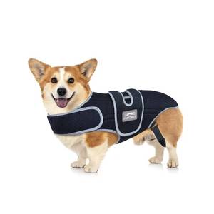 lot 1055 image: Back Bracer in Large Dogs for IVDD, Arthritis, Dachshund, Reflective Frame Support Harness for Back, Keeps The Back Stable Adjustable Pet Hip Brace Support, Spinal Surgical Recovery for Beagle, M - Retail $93