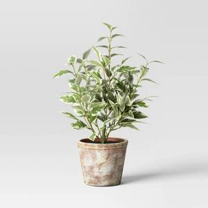 lot 1087 image: 15 Variegated Ficus Artificial Plant - Threshold�� designed with Studio McGee - Retail $20