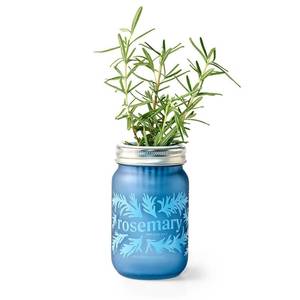 lot 1143 image: Modern Sprout Rosemary Green Pint Jar Grow Kit - Retail $13