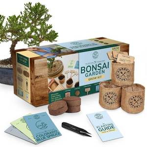 lot 1148 image: Garden Republic Bonsai Garden Grow Kit - Retail $25