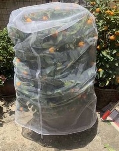 lot 10653 image: 2Pcs Large Fruit Tree Netting Bags with Drawstring