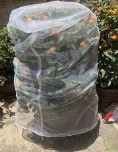 lot 10709 image: 2Pcs Large Fruit Tree Netting Bags with Drawstring