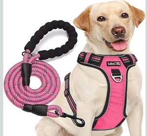 lot 7236 image: No Pull Dog Harness Adjustable Reflective Oxford Easy Control Medium Large Dog Harness with A Free Heavy Duty 5ft Dog Leash (S (Neck 13-18, Chest 17.5-22), Pink HarnessLeash