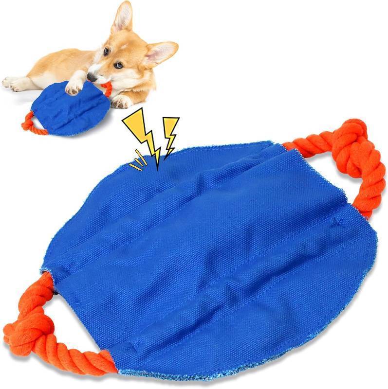 lot 56639 image: Motion Frisbee Interactive Dog Toy