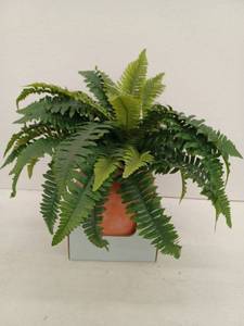 lot 10934 image: 30 Inch Faux Fern In Terracotta Pot