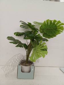 lot 10944 image: 34 Inch Faux Monstera Plant With White Ribbed Pot