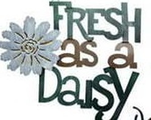lot 10946 image: Fresh As A Daisy Wall Decor With LED Lights