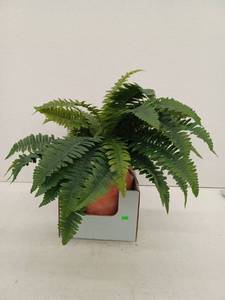 lot 10947 image: 30 Inch Faux Fern With Terracotta Pot