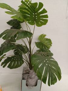 lot 10953 image: Artificial Monstera Plant in Grey Ribbed Planter