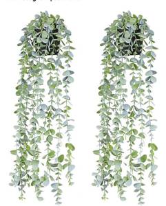 lot 8869 image: ake Hanging Plants Eucalyptus Potted Artificial Plant Small Faux Ivy Vines Decor for Floating Shelf Kitchen Bathroom Cabinets Indoor Outdoor Pack of 2 23.6 Inches Long