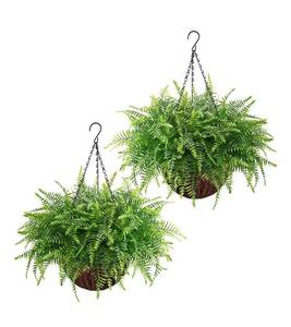 lot 9083 image: Waipfaru Fake Hanging Fern Plants Outdoor - 2 Pack