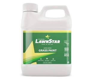 lot 9192 image: Grass Paint Concentrate (500-1,000 sq ft) - for Dormant, Patchy or Faded Lawn - Lush Green Turf Colorant (32 fl oz)