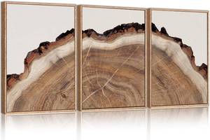 lot 1665 image: $130 HPINUB Framed Tree Rings Wood Wall Art Set, Modern Beige Wood Stump Wall Decor, Abstract Black and Gray Tree Spiral Wall Painting, Nature-Inspired Art Print for Living Room, Bedroom, Office-24x36x3