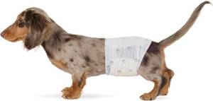 lot 2744 image: Amazon Basics Male Dog Diapers, 50 Count, Small, Ultra Absorbent Disposable Wrap with Secure Fit, Leakproof and Comfortable