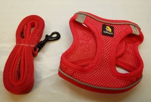 Bella & Pal Red Mesh Dog Harness with Leash Set - Retail: $15