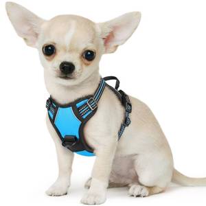 lot 118 image: Eagloo Small Dog Harness No Pull, Service Vest with Reflective Strips and Control Handle, Adjustable and Comfortable for Walking, No Choke Pet Harness with 2 Metal Rings, Sky Blue, XS - Retail $22