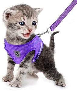 lot 120 image: FEimaX Dog Harness and Leash Set for Walking, Soft Mesh Adjustable Easy Control Lightweight Cat Vest Harnesses with Reflective Strips, Escape Proof Small Dogs Cats Vests - Retail $9