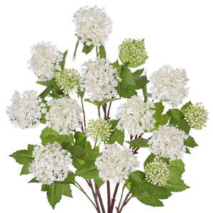 lot 45590 image: DILATATA Faux Hydrangea Flowers 24 White Artificial Hydrangea Spray with 3 Flower Heads, 5 Per Bag.Faux Hydrangeas Plastic Flowers Fake Hydrangeas for Indoor Outdoor Wedding Table Centerpieces Decor - Retail $14