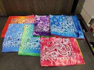 lot 1172 image: Colorful Paisley Print Bandana Collection Set