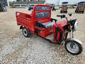 lot 358 image: SDLANCH Electric Tricycle  IRET13