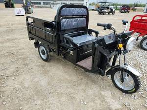 lot 359 image: SDLANCH Electric Tricycle  IRET13