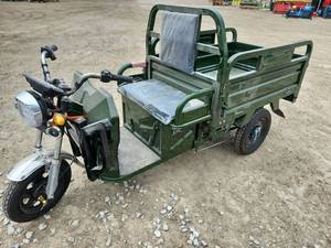 lot 40000 image: IRET13 Electric Tricycle  Green