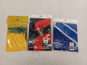 lot 10971 image: 3 Pack Miscellaneous Flags