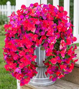 lot 26803 image: Artificial Hanging Flowers Plants for Outdoors Decoration, 2pcs Fake Flowers Silk Bougainvillea Vines Realistic UV Resistant Faux Flowers for Outdoor Planters Porch Patio, Mix - Retail $20