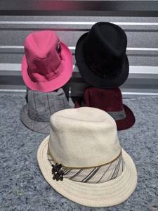 lot 245 image: Mixed Style Hat Collection Bundle
