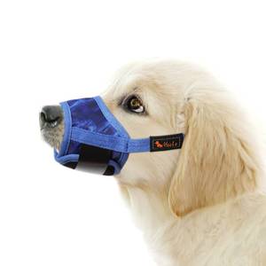 lot 4280 image: HEELE Dog Muzzle,Soft Nylon Muzzle Anti Biting Barking Chewing,Air Mesh Breathable Drinkable Adjustable Loop Pets Muzzle for Small Medium Large Dogs 4 Colors 4 Sizes (P-Sky Blue, L)