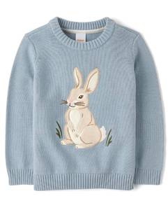 lot 16016 image: Gymboree,Boys,and Toddler Embroidered Pullover Sweater,Dusty Robin Bunny,6