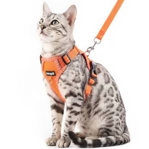 lot 20347 image: pangdi Cat Harness and Leash Escape Proof Large Kitten Harness Ragdoll Cat Vest for Walking Travel, Orange, L