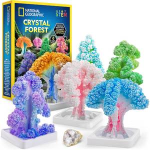 lot 4380 image: National Geographic Craft Kits for Kids - Crystal Growing Kit, Grow 6 Crystal Trees in Just 6 Hours, Educational Craft Kit with Art Supplies, Geode Specimen, STEM Arts & Crafts Kit (Amazon Exclusive)